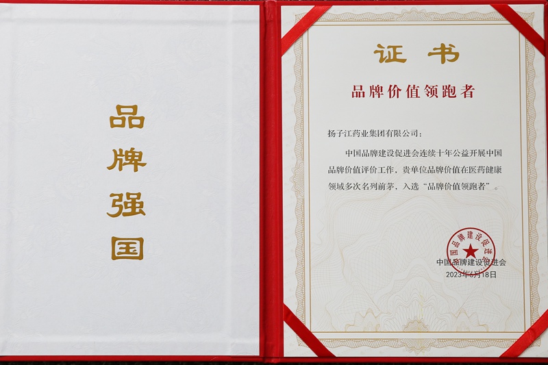 品牌價值領(lǐng)跑者（2023）