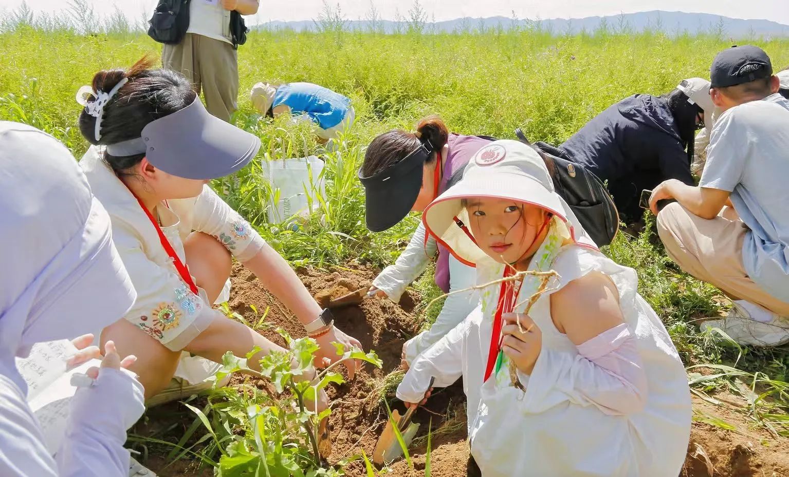 深度溯源有機品質(zhì)，第二屆717龍鳳堂有機黃芪節(jié)在固陽舉辦